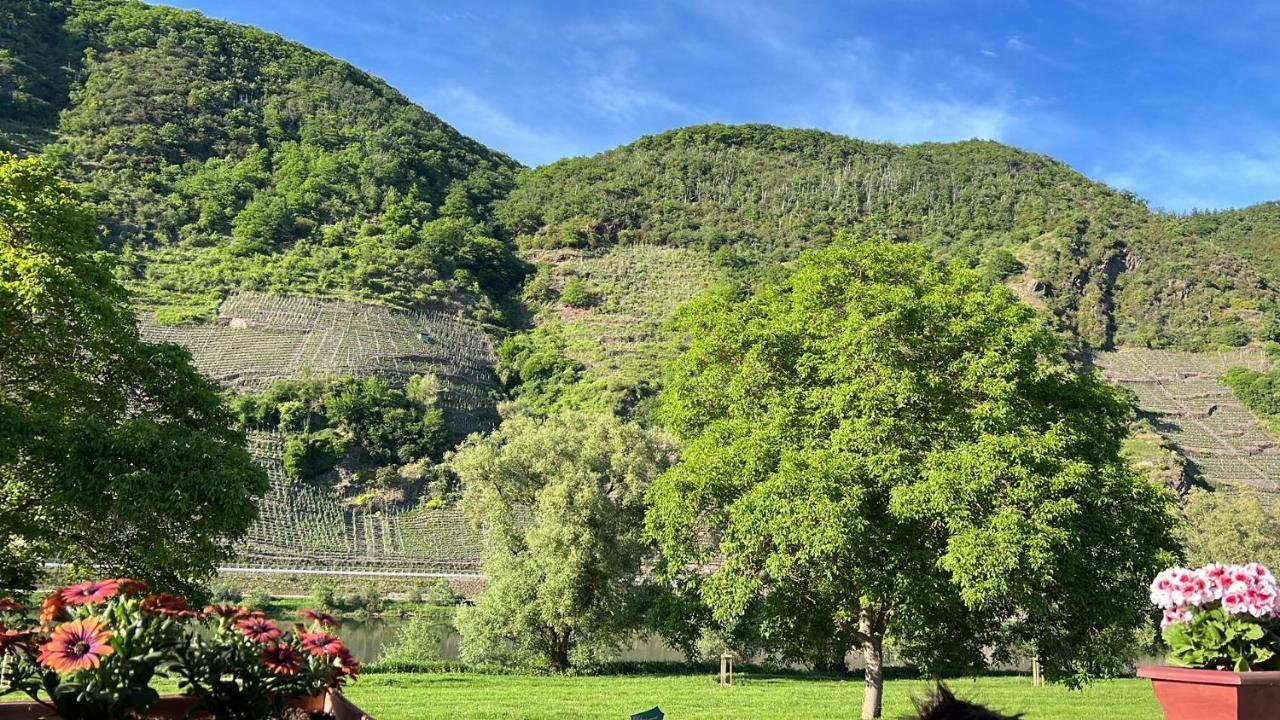 Hotel Zur Winzergenossenschaft Ernst Luaran gambar